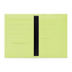Porte-cartes anis - 120