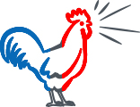 coq%20bbr.jpg